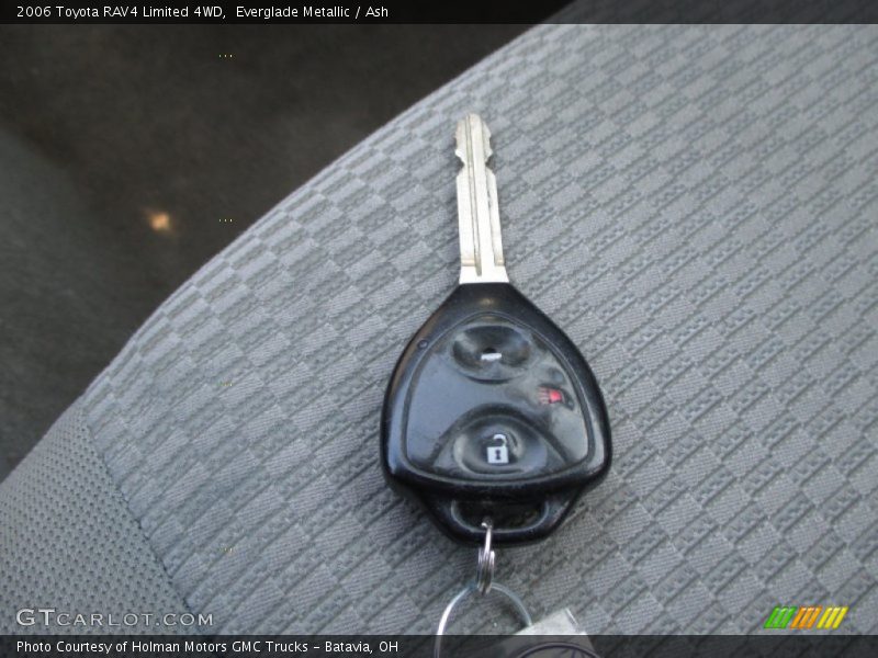 Everglade Metallic / Ash 2006 Toyota RAV4 Limited 4WD