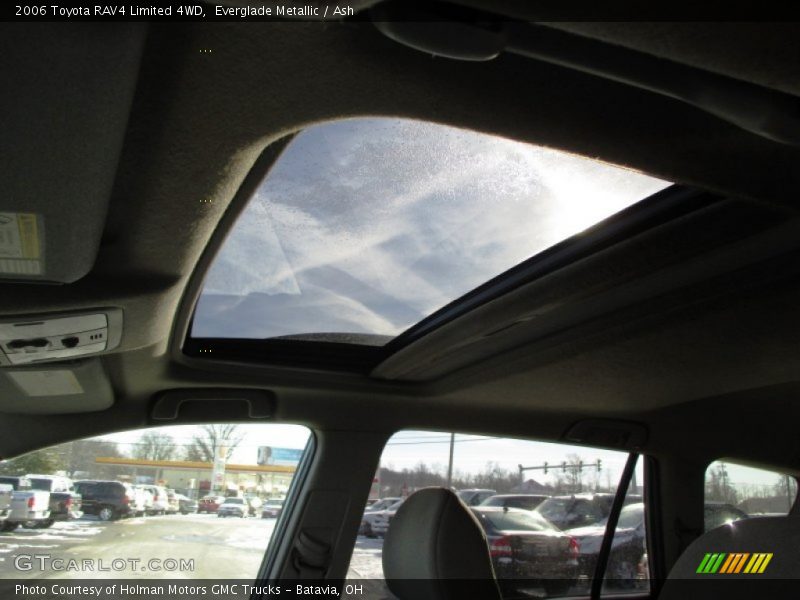 Everglade Metallic / Ash 2006 Toyota RAV4 Limited 4WD