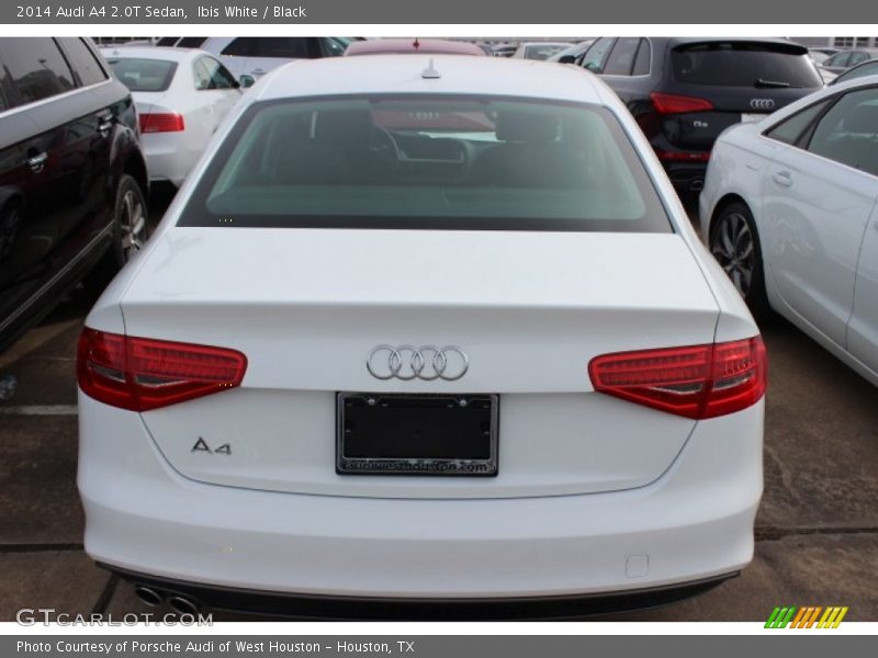 Ibis White / Black 2014 Audi A4 2.0T Sedan