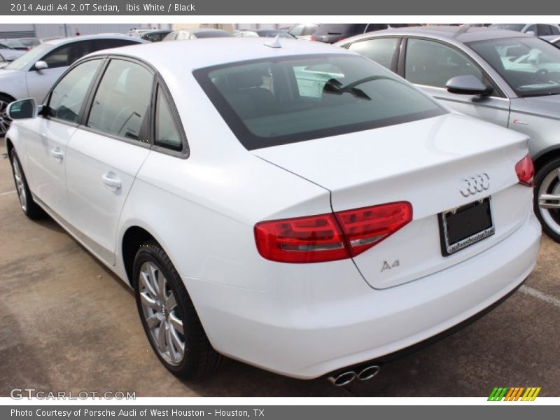 Ibis White / Black 2014 Audi A4 2.0T Sedan