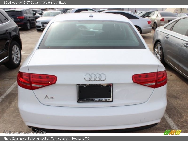 Ibis White / Black 2014 Audi A4 2.0T Sedan