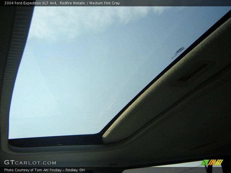 Redfire Metallic / Medium Flint Gray 2004 Ford Expedition XLT 4x4