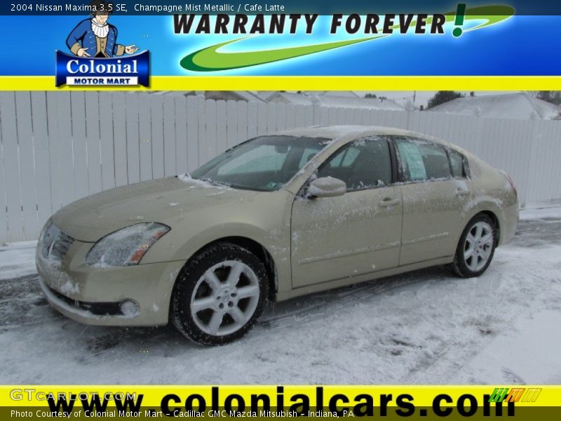 Champagne Mist Metallic / Cafe Latte 2004 Nissan Maxima 3.5 SE