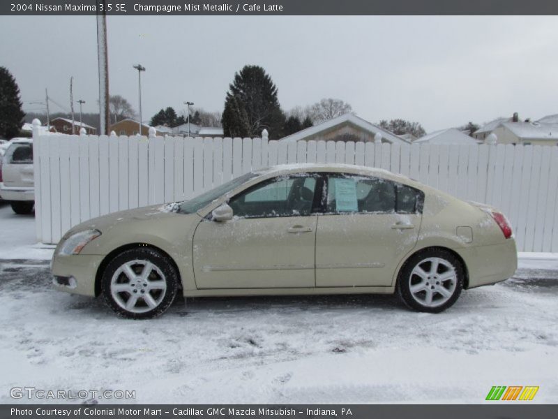 Champagne Mist Metallic / Cafe Latte 2004 Nissan Maxima 3.5 SE