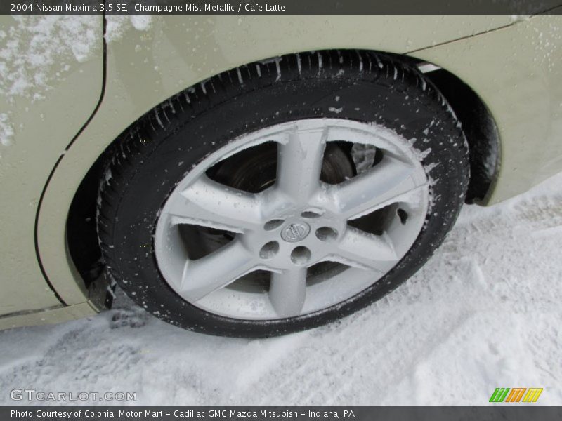 Champagne Mist Metallic / Cafe Latte 2004 Nissan Maxima 3.5 SE