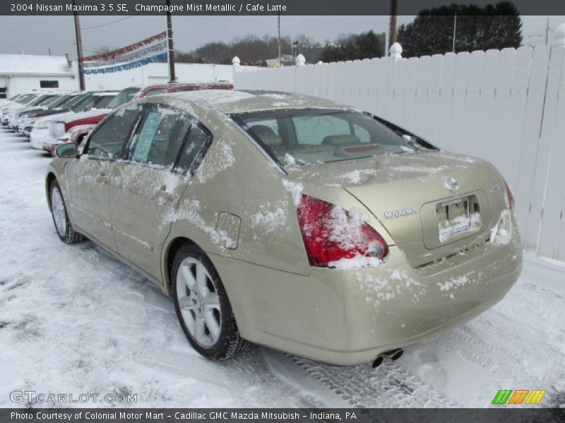 Champagne Mist Metallic / Cafe Latte 2004 Nissan Maxima 3.5 SE