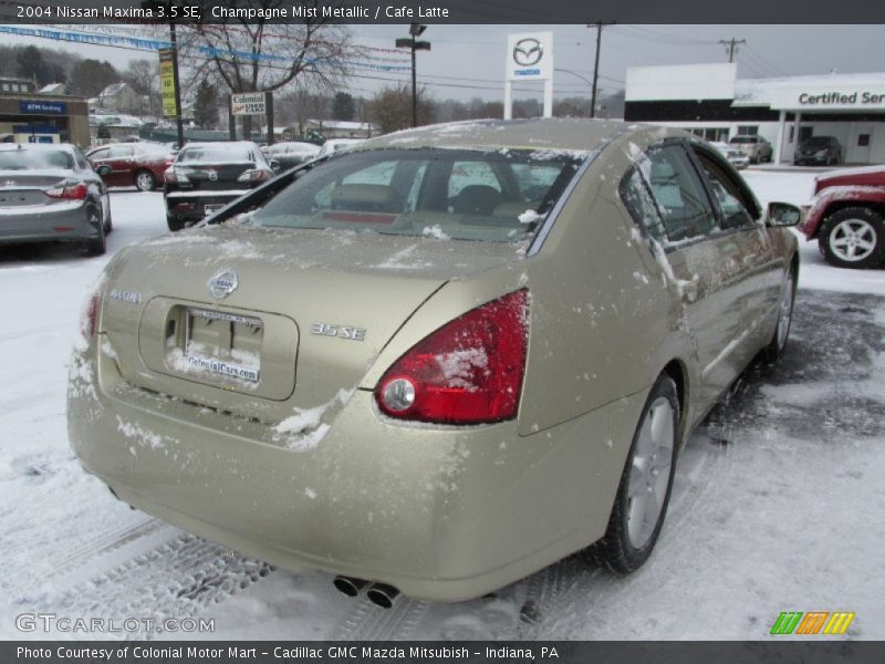Champagne Mist Metallic / Cafe Latte 2004 Nissan Maxima 3.5 SE