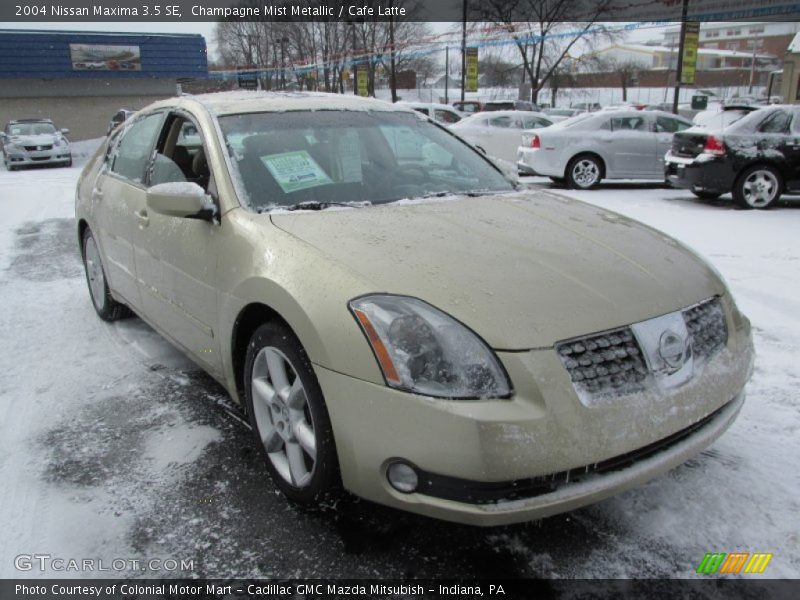 Champagne Mist Metallic / Cafe Latte 2004 Nissan Maxima 3.5 SE