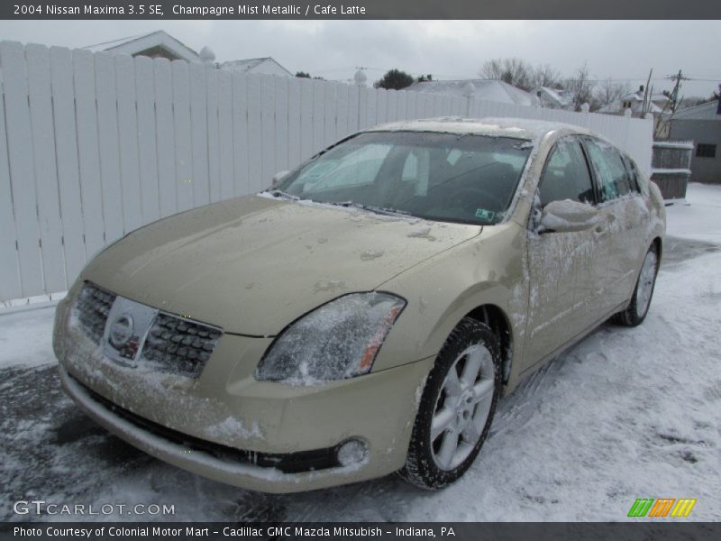 Champagne Mist Metallic / Cafe Latte 2004 Nissan Maxima 3.5 SE
