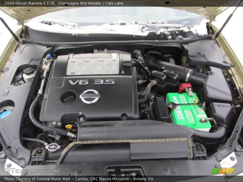 Champagne Mist Metallic / Cafe Latte 2004 Nissan Maxima 3.5 SE