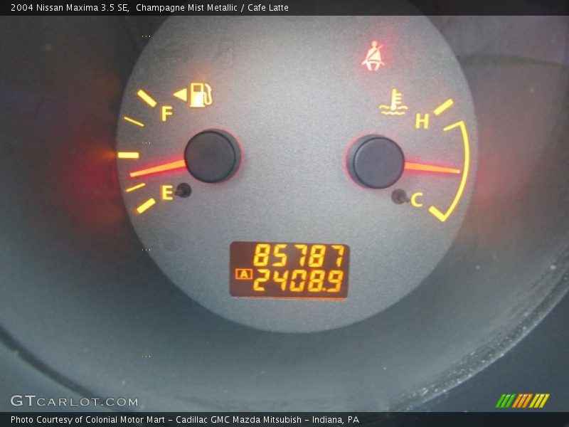 Champagne Mist Metallic / Cafe Latte 2004 Nissan Maxima 3.5 SE
