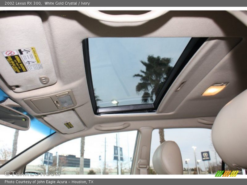 White Gold Crystal / Ivory 2002 Lexus RX 300