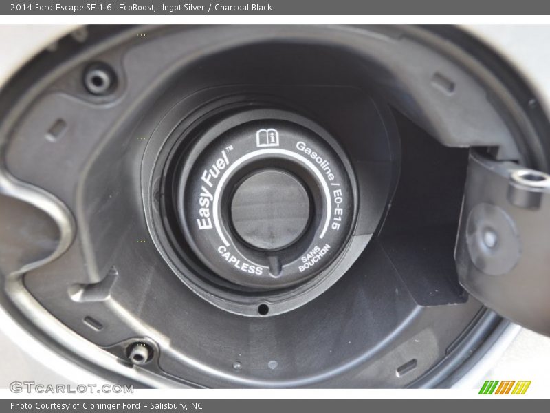 Ingot Silver / Charcoal Black 2014 Ford Escape SE 1.6L EcoBoost