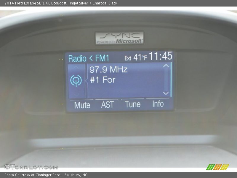 Ingot Silver / Charcoal Black 2014 Ford Escape SE 1.6L EcoBoost