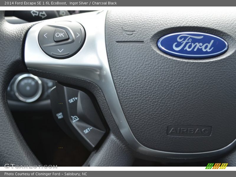 Ingot Silver / Charcoal Black 2014 Ford Escape SE 1.6L EcoBoost