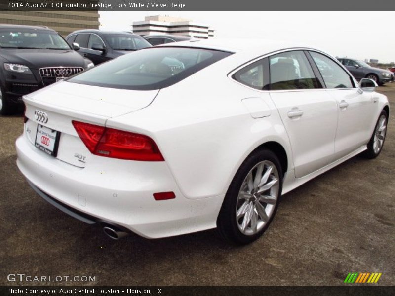 Ibis White / Velvet Beige 2014 Audi A7 3.0T quattro Prestige