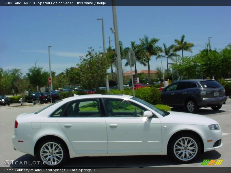 Ibis White / Beige 2008 Audi A4 2.0T Special Edition Sedan