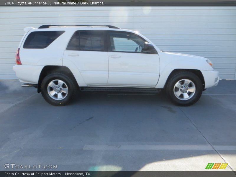 Natural White / Dark Charcoal 2004 Toyota 4Runner SR5