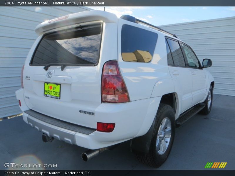 Natural White / Dark Charcoal 2004 Toyota 4Runner SR5