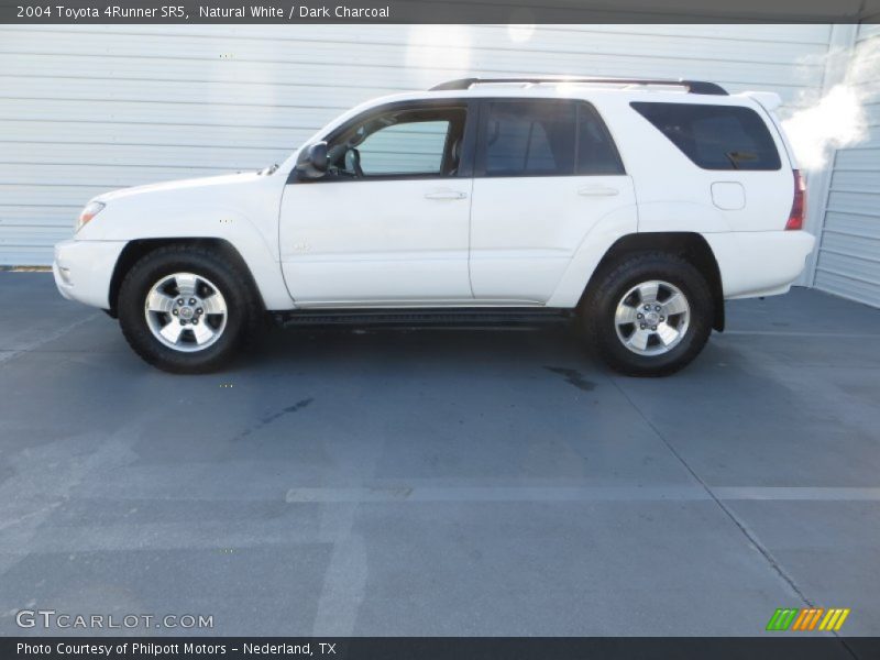 Natural White / Dark Charcoal 2004 Toyota 4Runner SR5