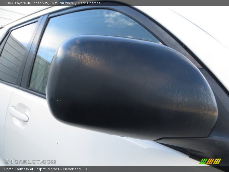 Natural White / Dark Charcoal 2004 Toyota 4Runner SR5