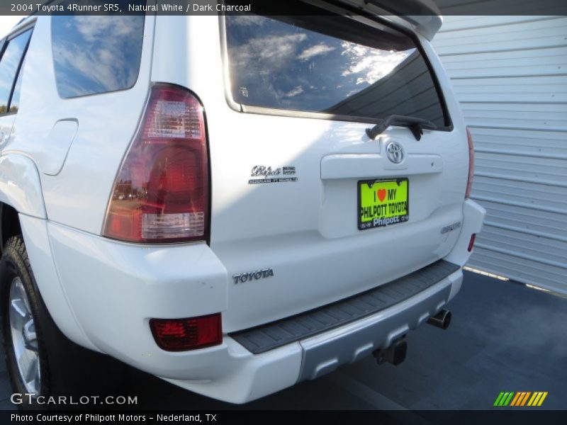 Natural White / Dark Charcoal 2004 Toyota 4Runner SR5