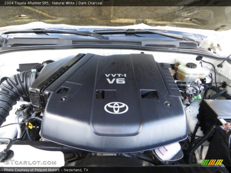 Natural White / Dark Charcoal 2004 Toyota 4Runner SR5