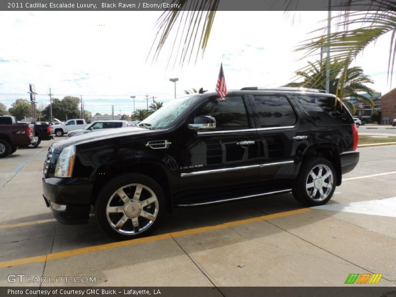 Black Raven / Ebony/Ebony 2011 Cadillac Escalade Luxury