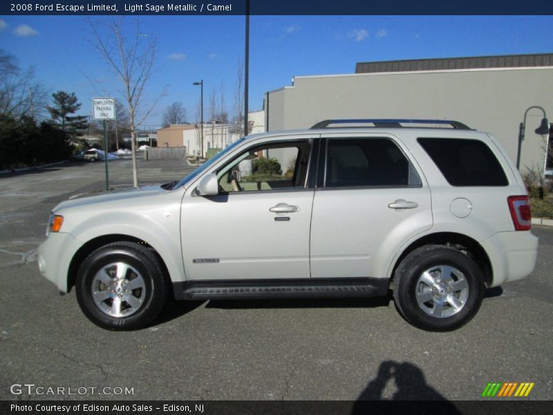Light Sage Metallic / Camel 2008 Ford Escape Limited