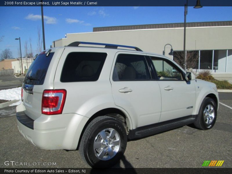 Light Sage Metallic / Camel 2008 Ford Escape Limited