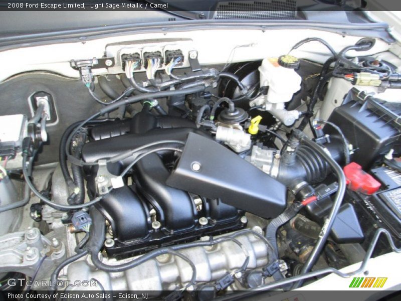 Light Sage Metallic / Camel 2008 Ford Escape Limited