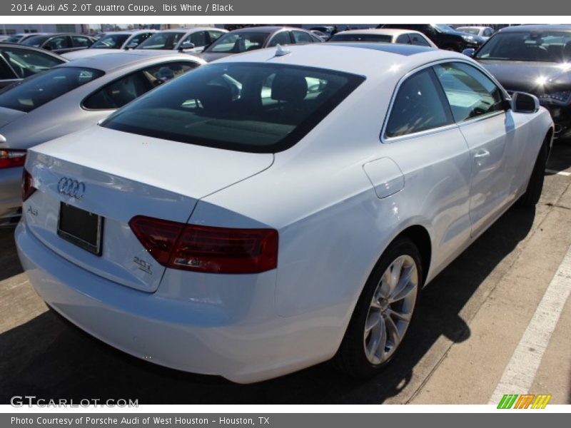 Ibis White / Black 2014 Audi A5 2.0T quattro Coupe