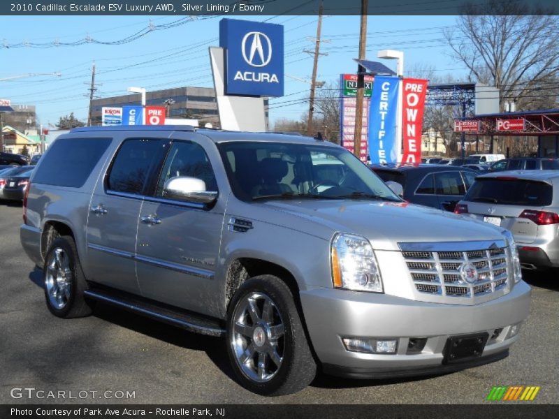 Silver Lining / Ebony 2010 Cadillac Escalade ESV Luxury AWD