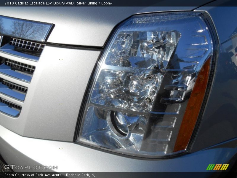 Silver Lining / Ebony 2010 Cadillac Escalade ESV Luxury AWD