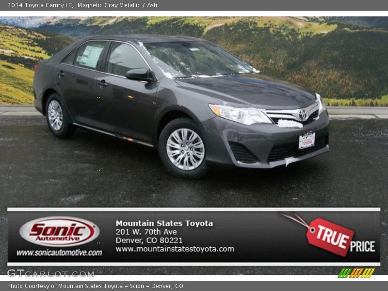 Magnetic Gray Metallic / Ash 2014 Toyota Camry LE