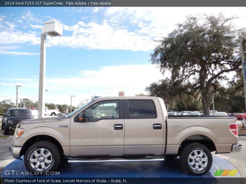 Pale Adobe / Pale Adobe 2014 Ford F150 XLT SuperCrew