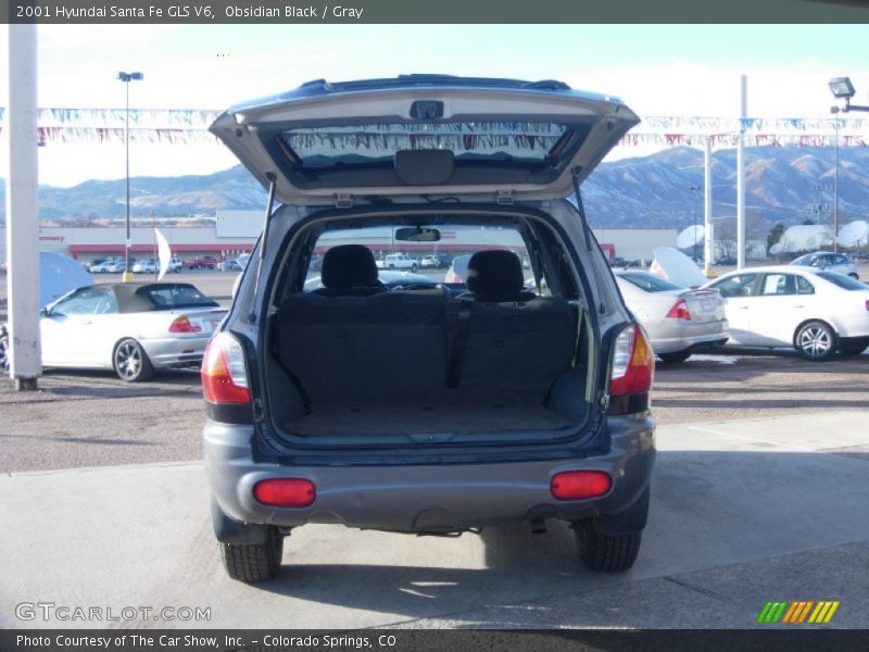 Obsidian Black / Gray 2001 Hyundai Santa Fe GLS V6