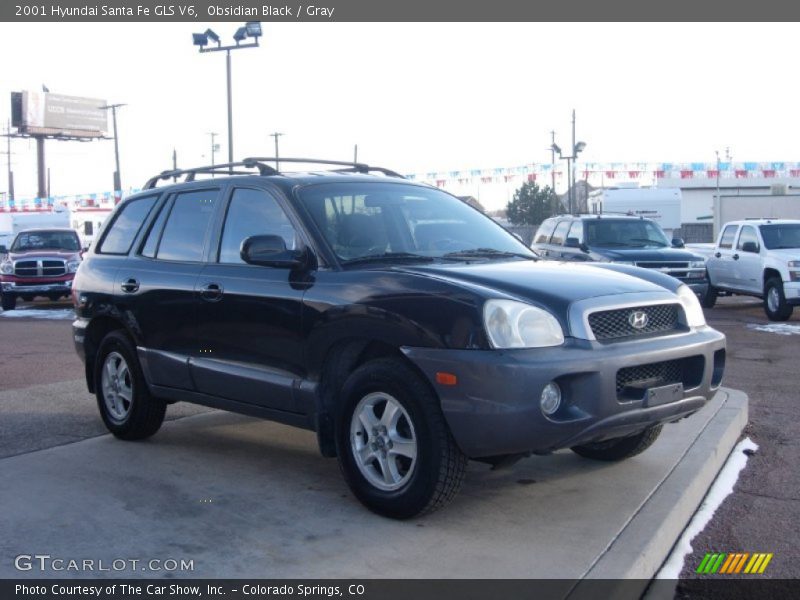 Obsidian Black / Gray 2001 Hyundai Santa Fe GLS V6