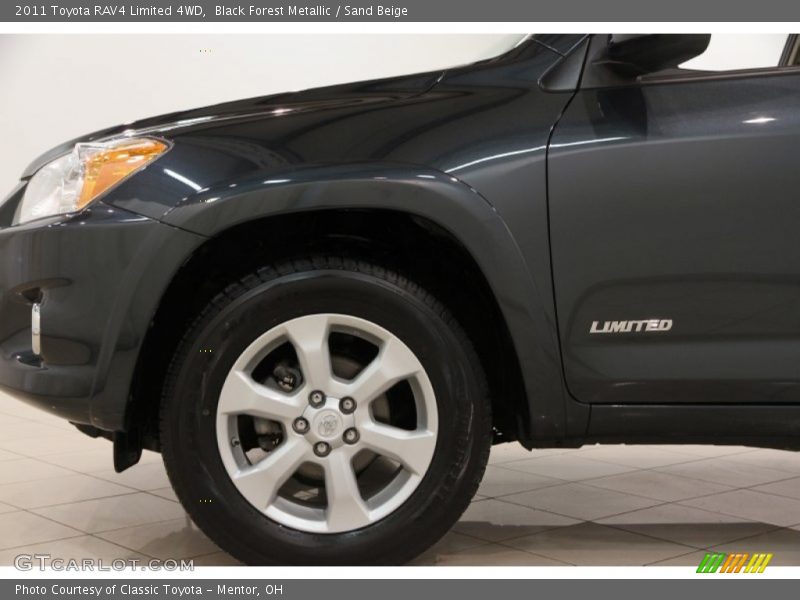Black Forest Metallic / Sand Beige 2011 Toyota RAV4 Limited 4WD