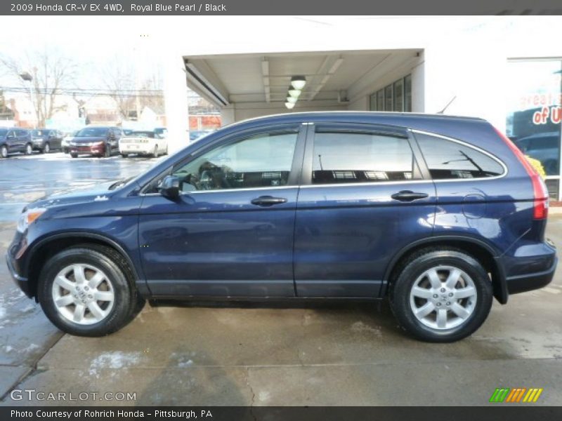 Royal Blue Pearl / Black 2009 Honda CR-V EX 4WD