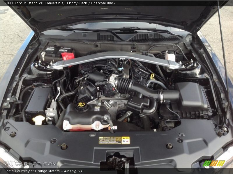 Ebony Black / Charcoal Black 2011 Ford Mustang V6 Convertible