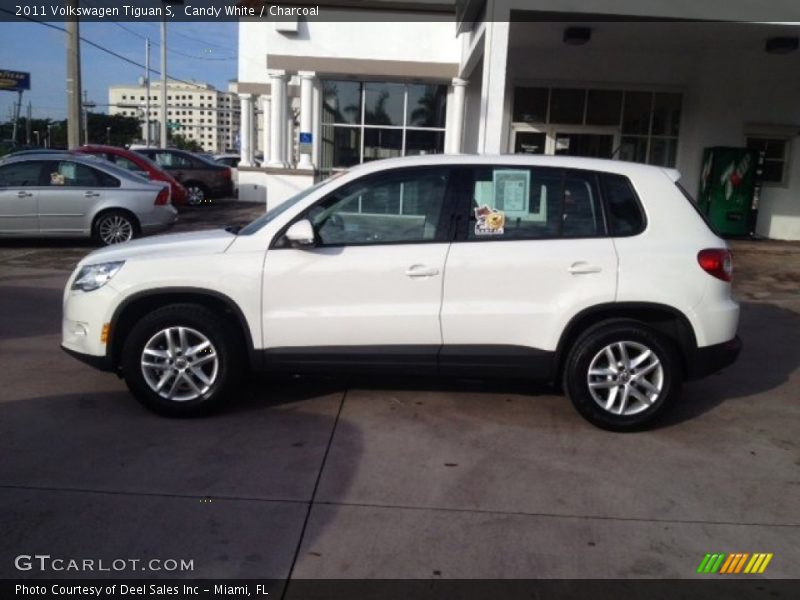 Candy White / Charcoal 2011 Volkswagen Tiguan S