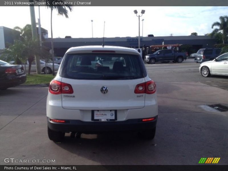 Candy White / Charcoal 2011 Volkswagen Tiguan S