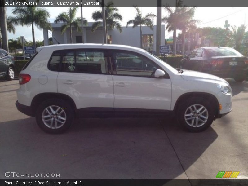 Candy White / Charcoal 2011 Volkswagen Tiguan S