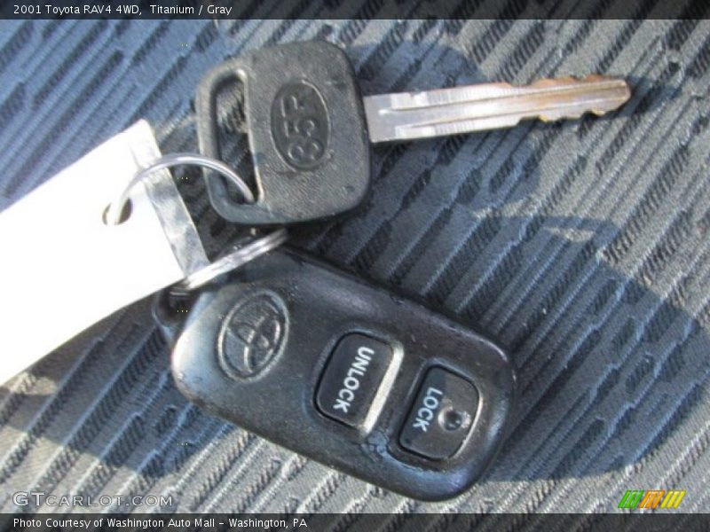 Titanium / Gray 2001 Toyota RAV4 4WD