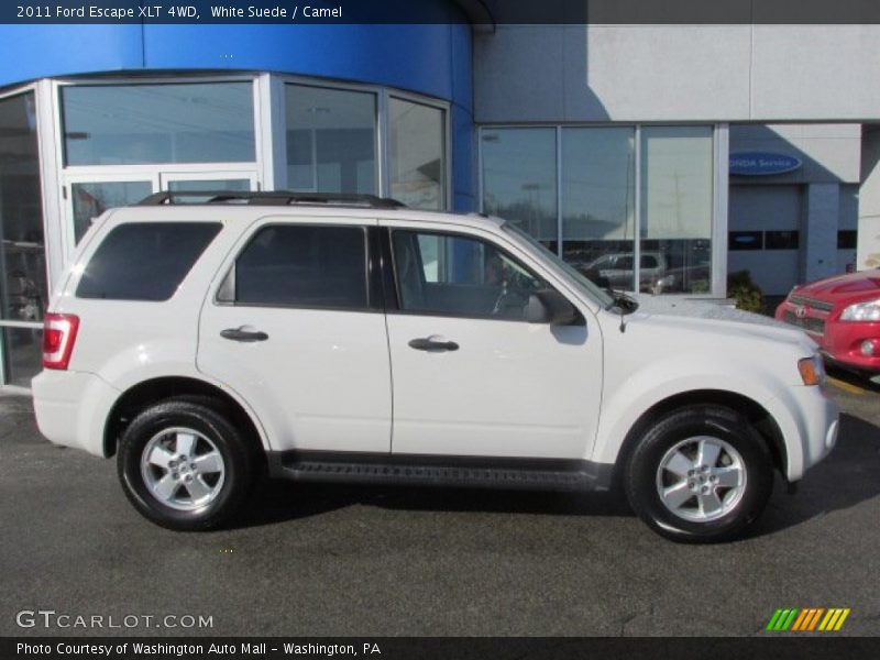 White Suede / Camel 2011 Ford Escape XLT 4WD