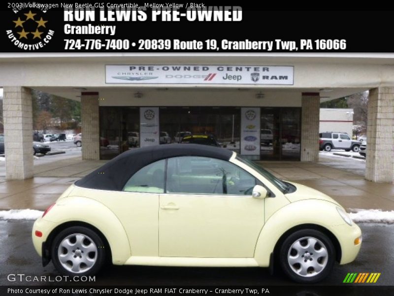 Mellow Yellow / Black 2003 Volkswagen New Beetle GLS Convertible