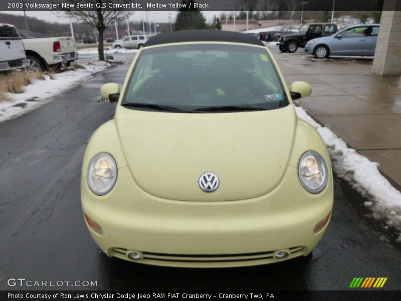 Mellow Yellow / Black 2003 Volkswagen New Beetle GLS Convertible