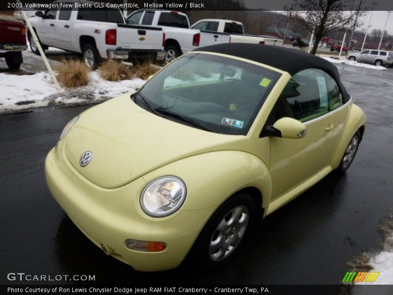 Mellow Yellow / Black 2003 Volkswagen New Beetle GLS Convertible