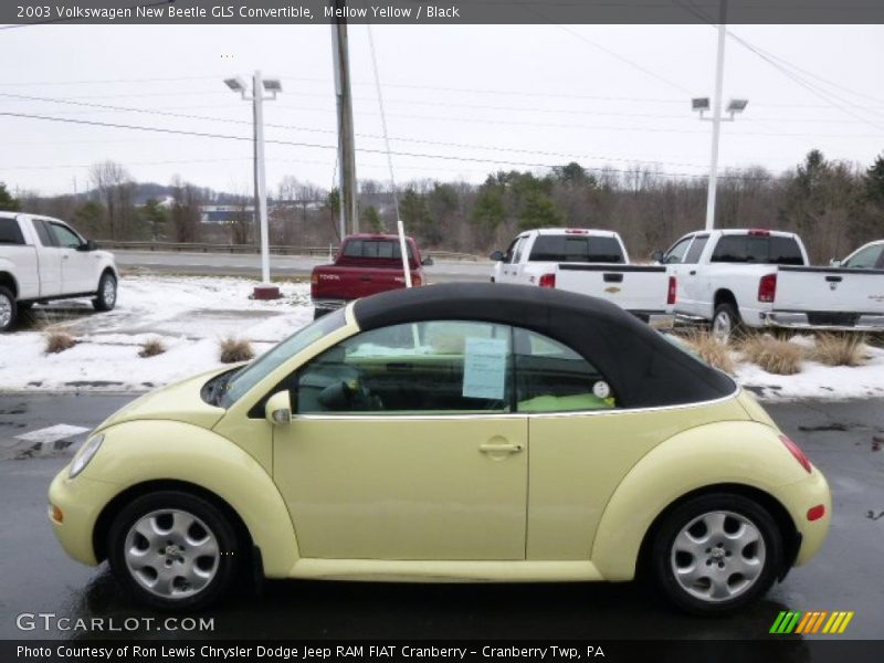 Mellow Yellow / Black 2003 Volkswagen New Beetle GLS Convertible